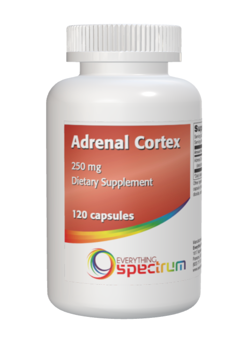 Adrenal Cortex